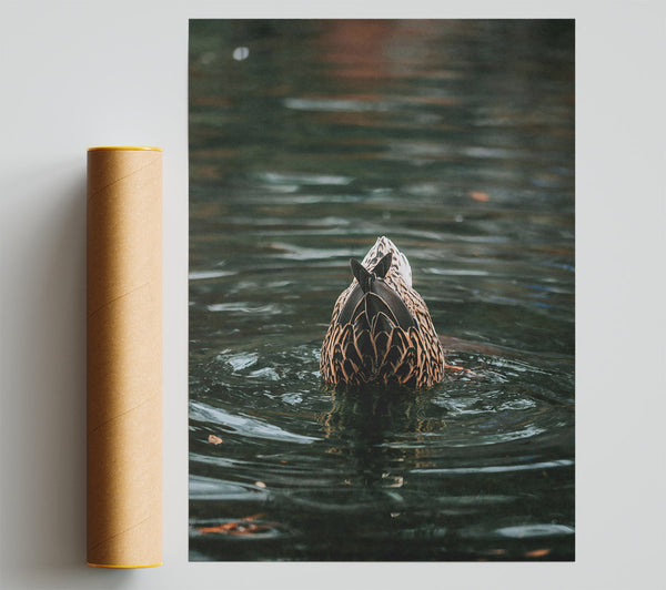 Green Duck Tail Dive Poster