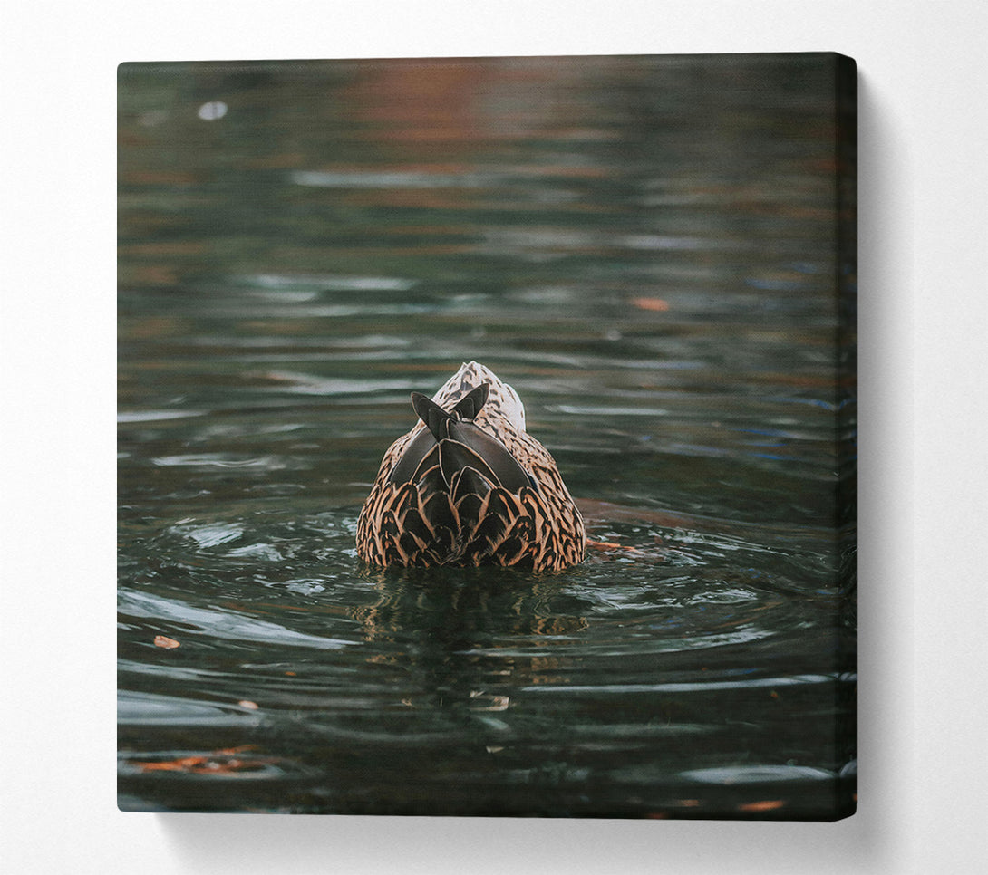  A Canvas Print of Green Duck Tail Dive Canvas Art