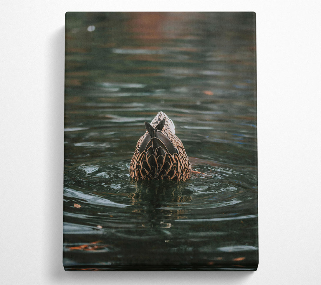  A Canvas Print of Green Duck Tail Dive Canvas Art