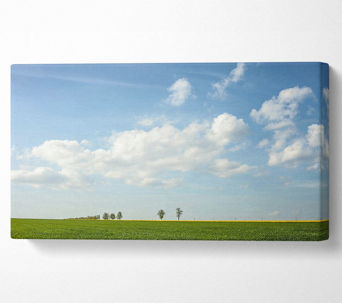  A Canvas Print of Green Field And Blue Sky Canvas Art