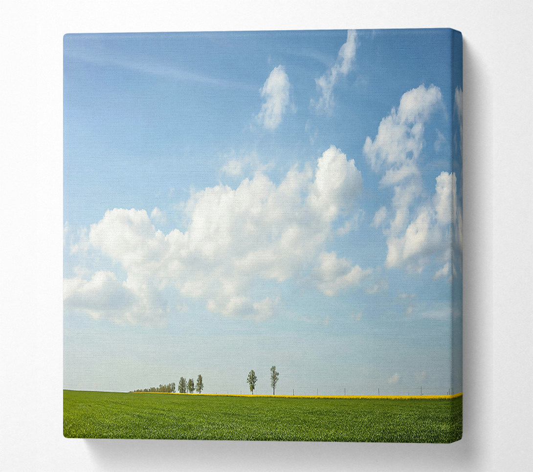  A Canvas Print of Green Field And Blue Sky Canvas Art