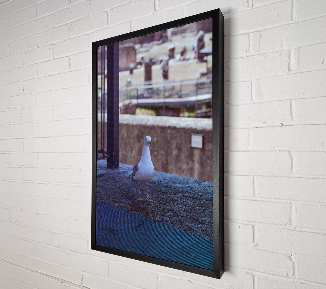  A Canvas Print of Blue Seagull Sojourn Canvas Wall Art