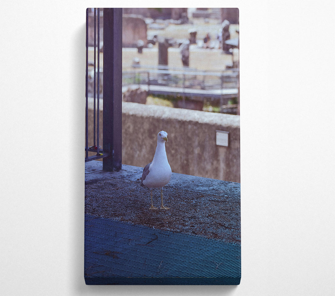  A Canvas Print of Blue Seagull Sojourn Canvas Wall Art