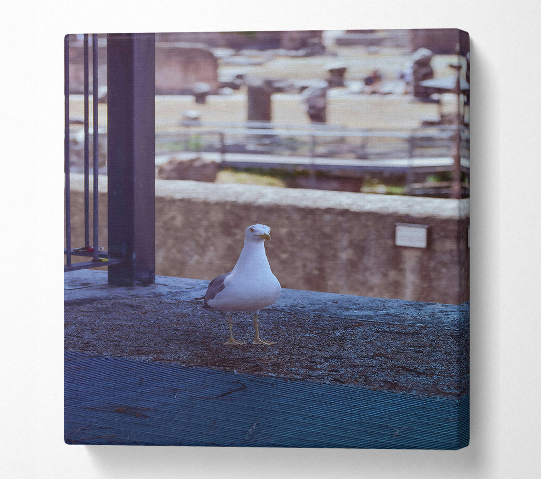  A Canvas Print of Blue Seagull Sojourn Canvas Wall Art