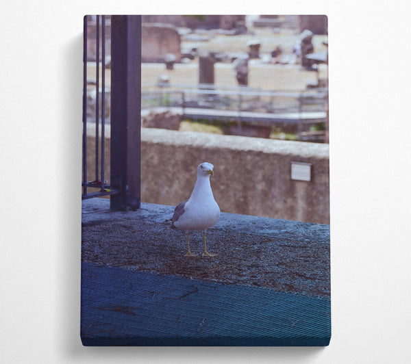  A Canvas Print of Blue Seagull Sojourn Canvas Wall Art