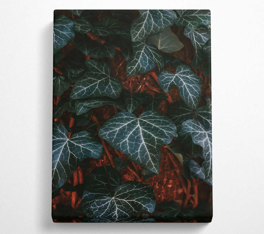  A Canvas Print of Emerald Veined Leaves Canvas Wall Art