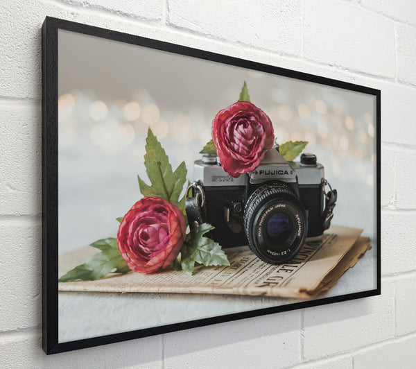Pink Bloom And Lens