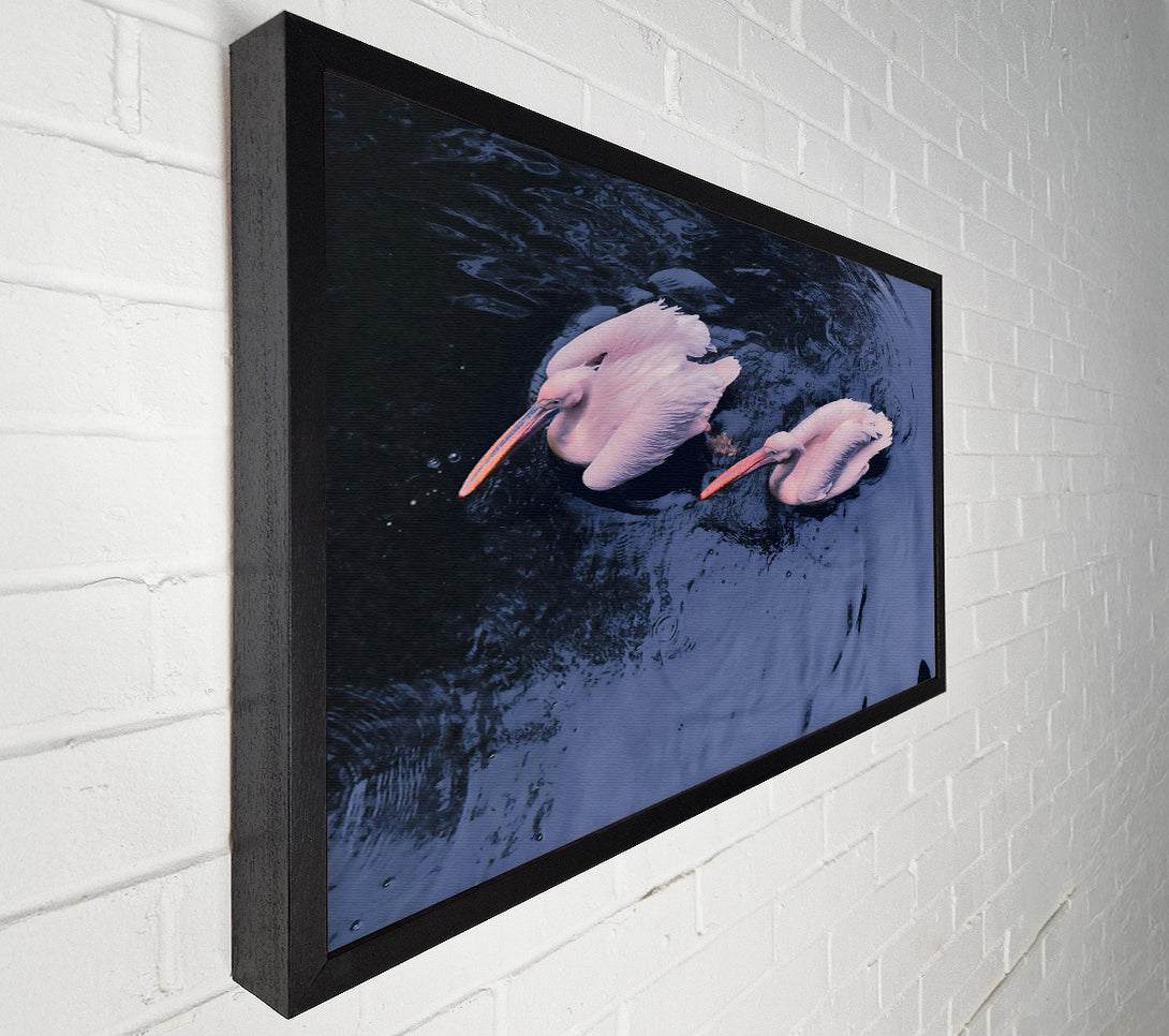  A Canvas Print of Azure Pelican Pair Canvas Wall Art