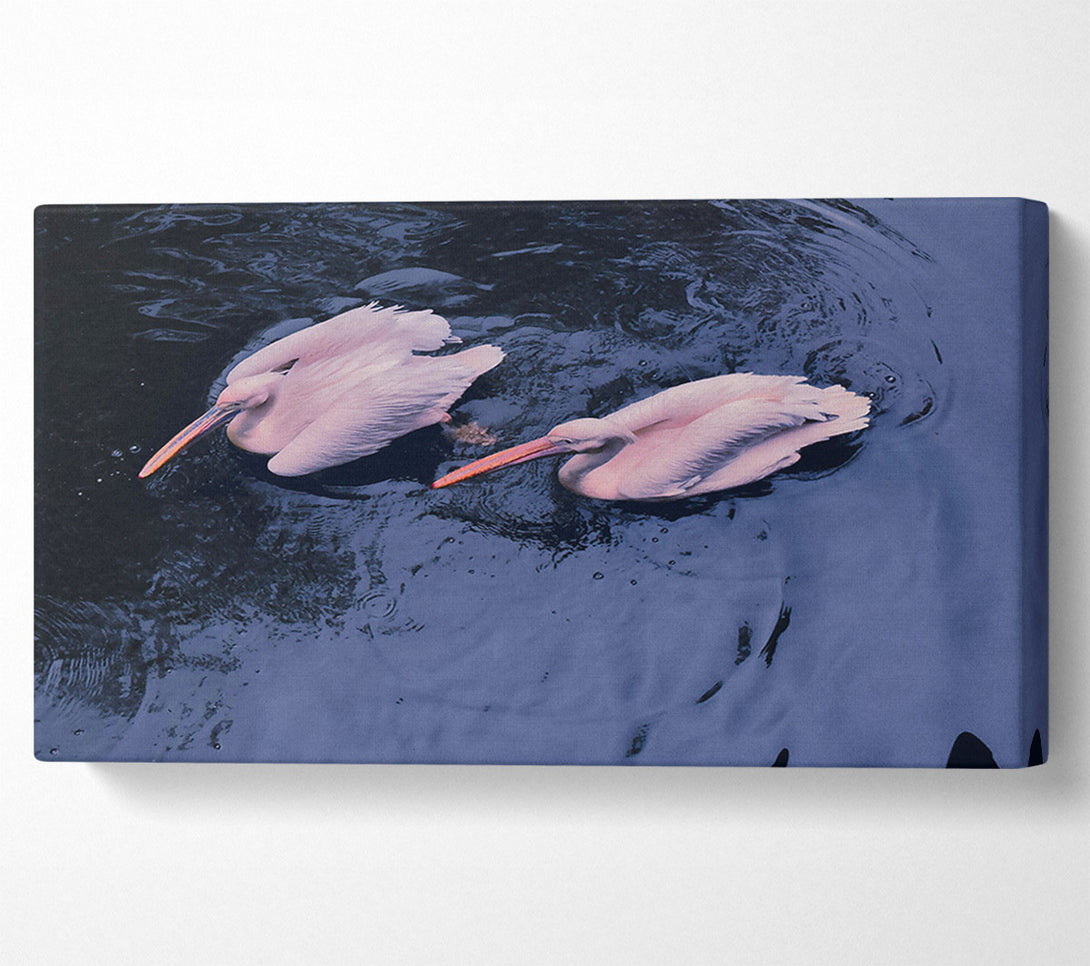  A Canvas Print of Azure Pelican Pair Canvas Wall Art