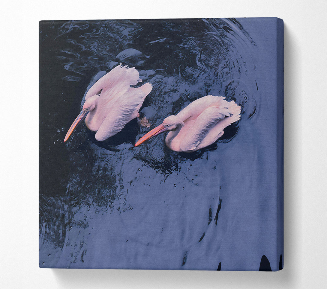  A Canvas Print of Azure Pelican Pair Canvas Wall Art