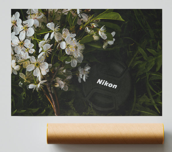 White Blossoms And Black Lens Poster