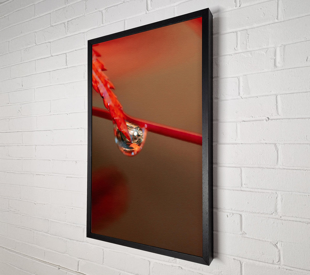  A Canvas Print of Crimson Drop Reflection Canvas Print