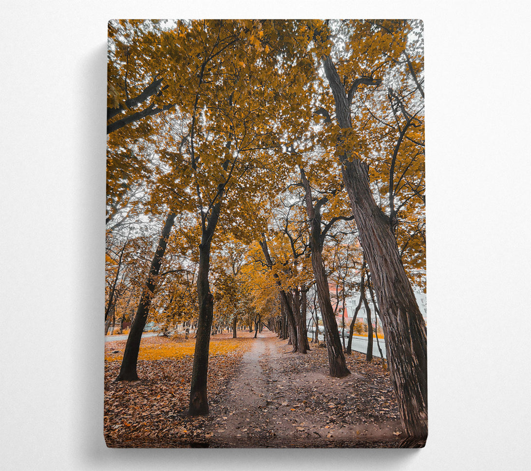  A Canvas Print of Golden Path Through Trees Canvas Print