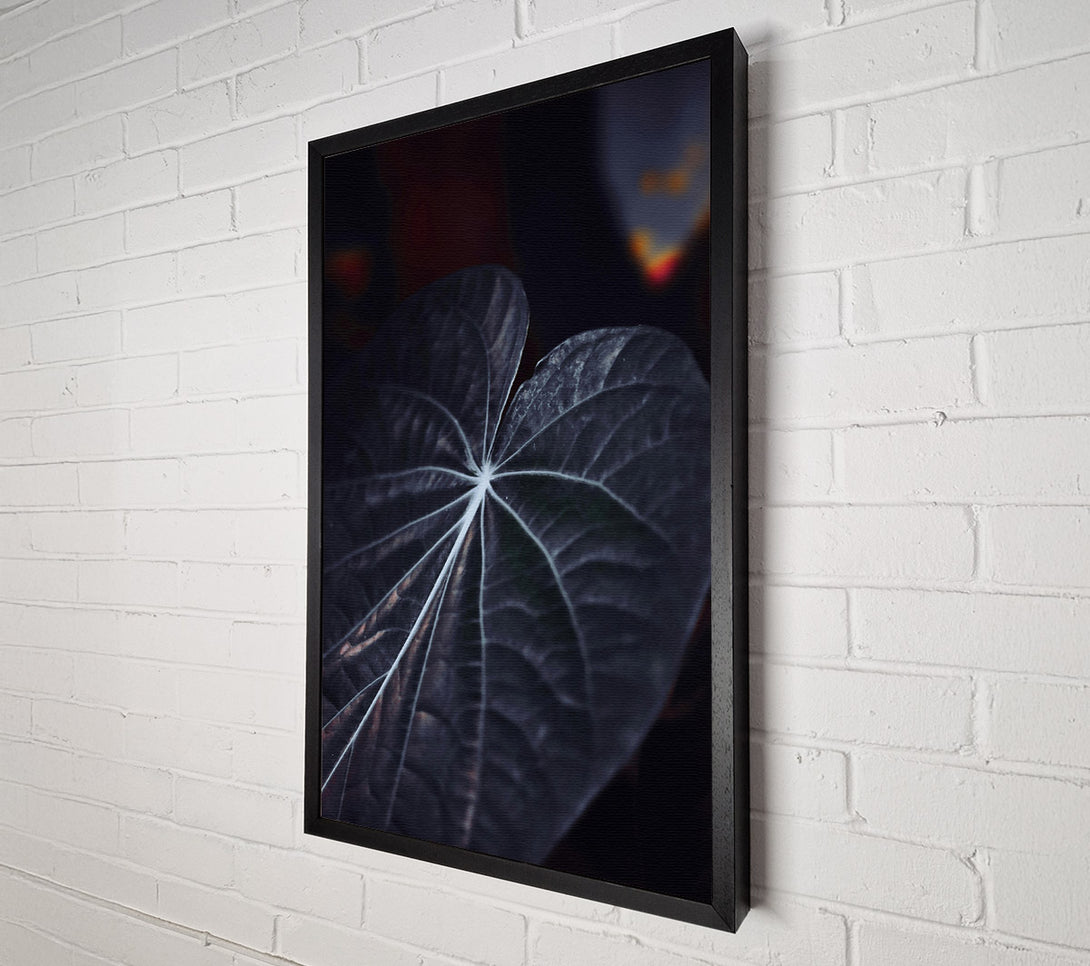  A Canvas Print of Dark Veined Leaf Canvas Print