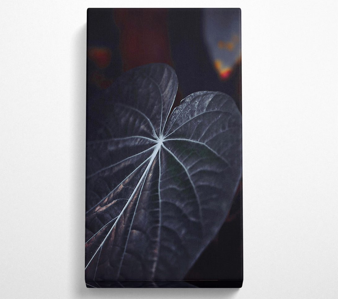  A Canvas Print of Dark Veined Leaf Canvas Print