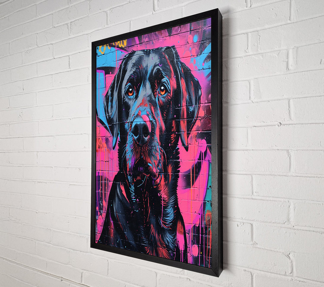  A Canvas Print of Black Dog Graffiti Canvas Print