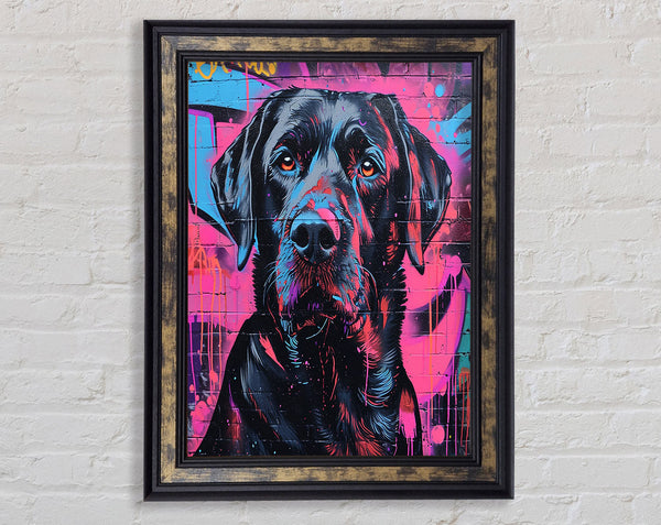 Walnut Dog Graffiti Framed Print