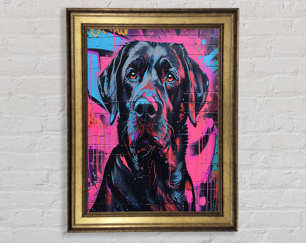 White Dog Graffiti Framed Print