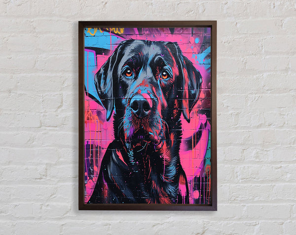 Walnut Dog Graffiti Framed Print