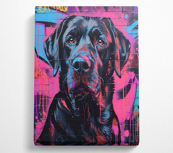  A Canvas Print of Black Dog Graffiti Canvas Print