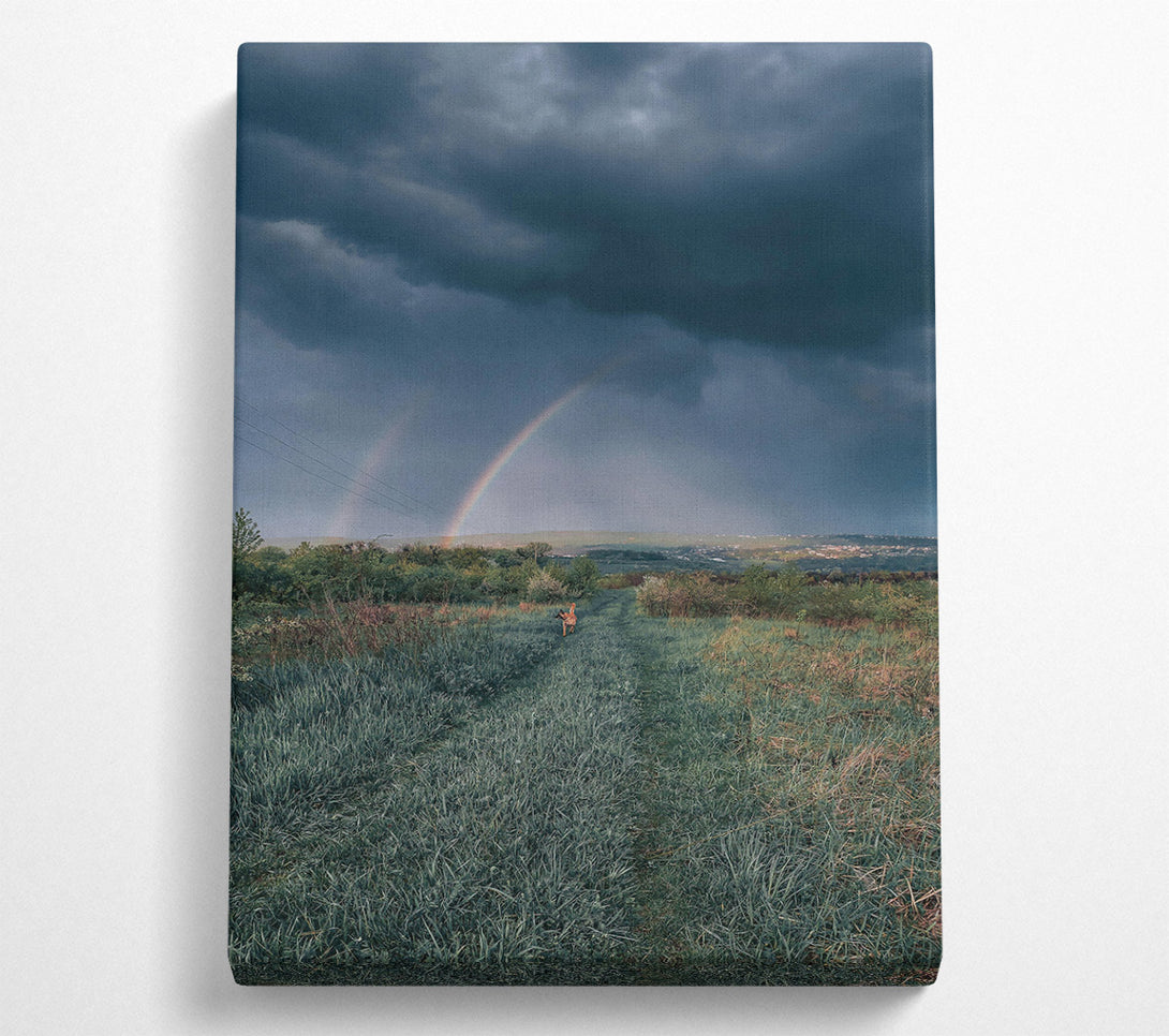  A Canvas Print of Green Fields After The Storm Canvas Print