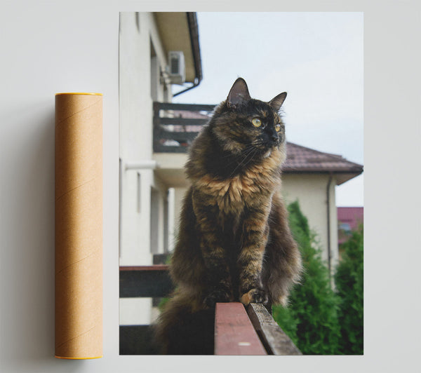 Tortoiseshell Cat On Railing Print