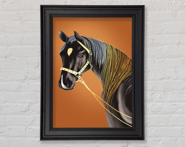 Black Horse Golden Hair Framed Print