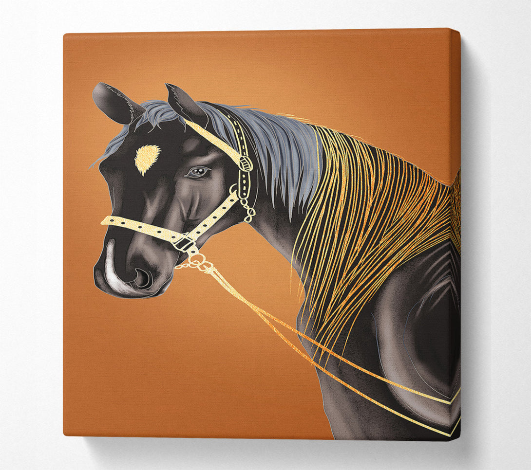 A Canvas Print of Black Horse Golden Hair Canvas Art