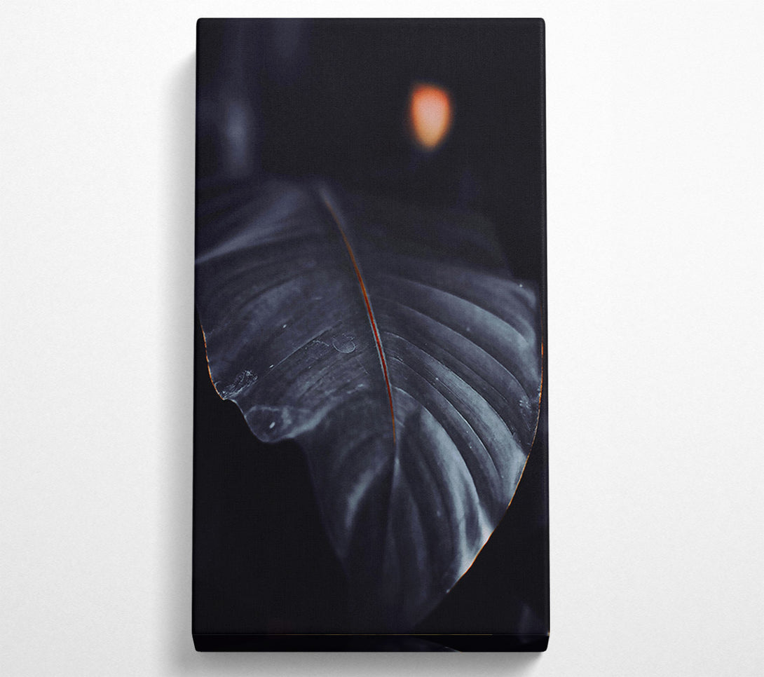  A Canvas Print of The Darkest Leaf Canvas Wall Art
