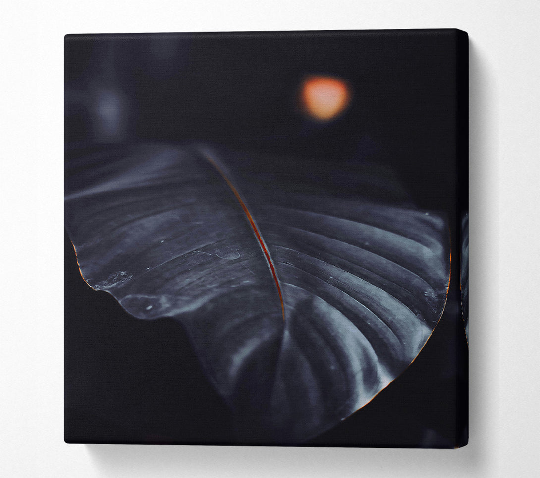  A Canvas Print of The Darkest Leaf Canvas Wall Art