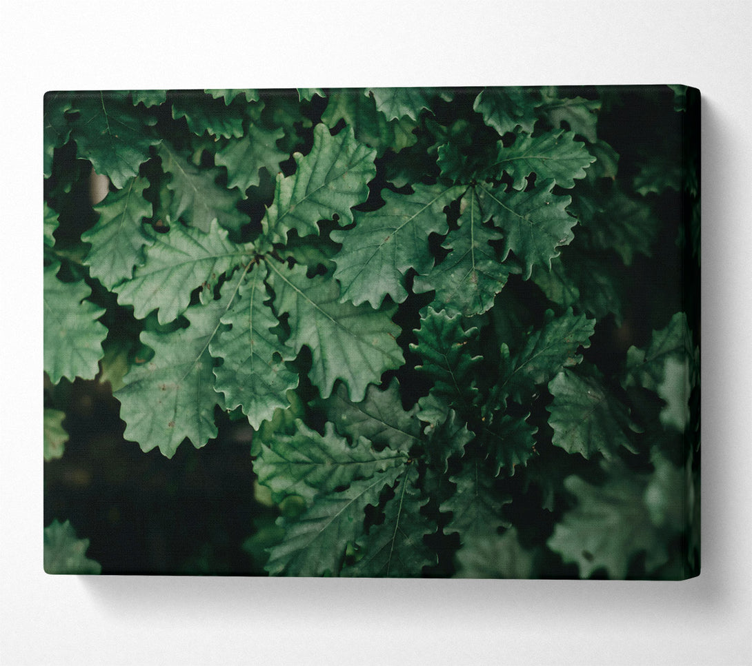  A Canvas Print of Emerald Leaf Canopy Canvas Art
