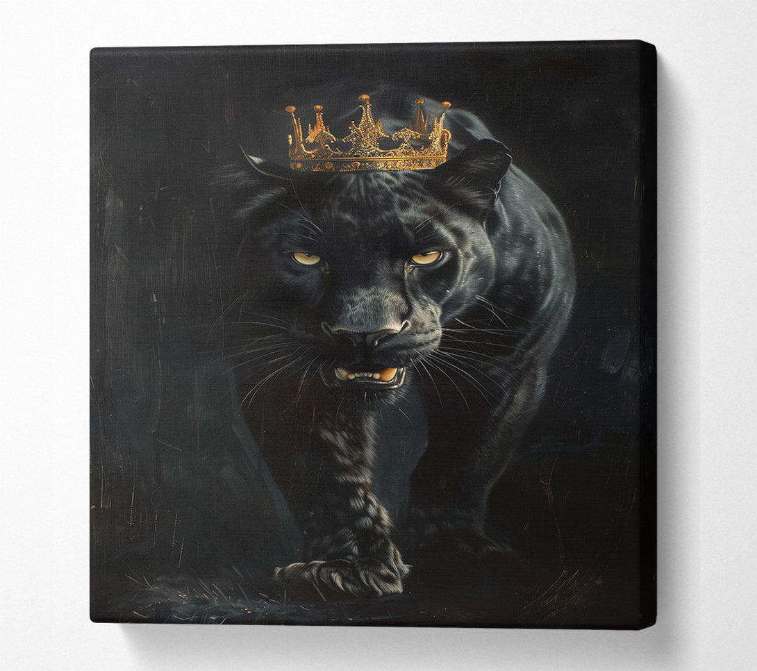  A Canvas Print of Black Jaguar King Canvas Print