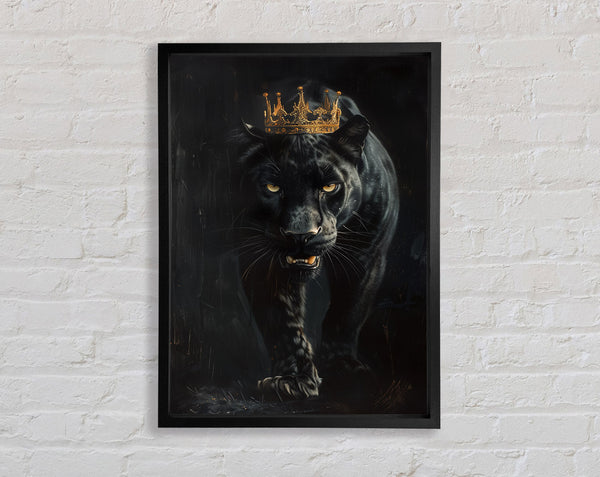 Black Jaguar King Framed Print