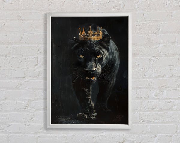 White Jaguar King Framed Print