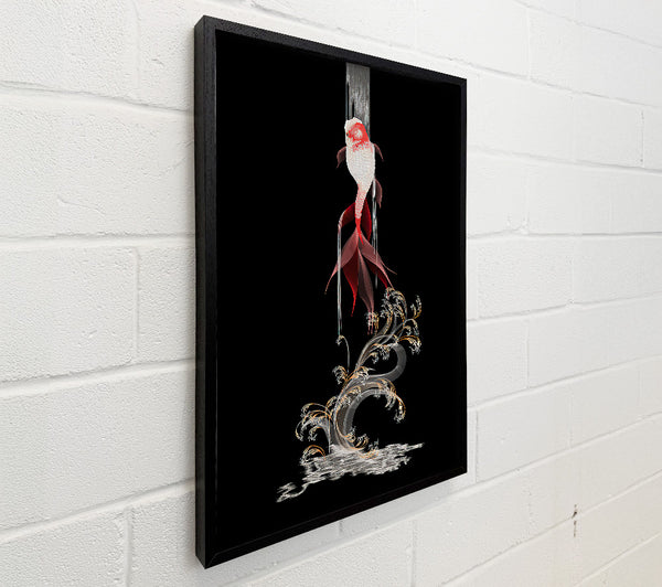 Black Koi Fish