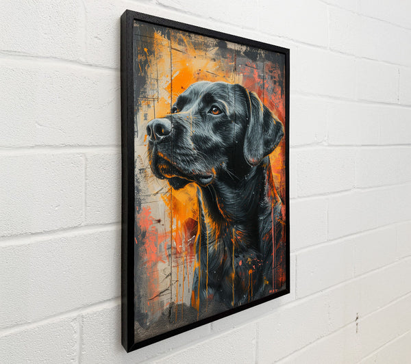 Black Lab