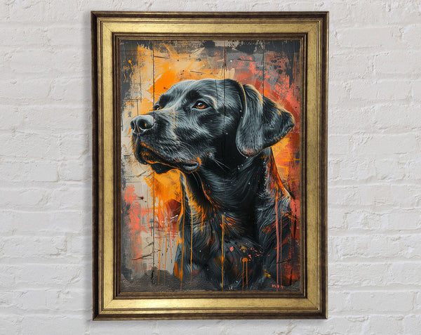 White Lab Framed Print