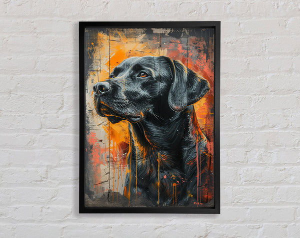 Black Lab Framed Print