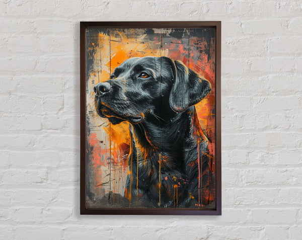 Walnut Lab Framed Print
