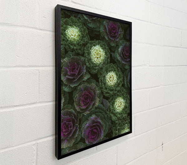 Purple And Green Blooms
