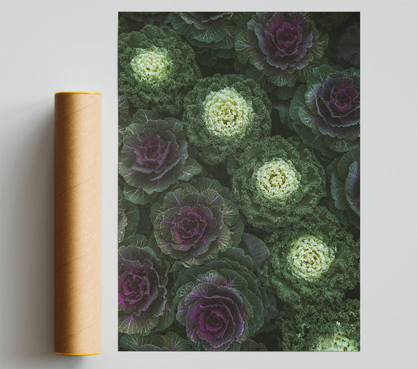 Purple And Green Blooms Print