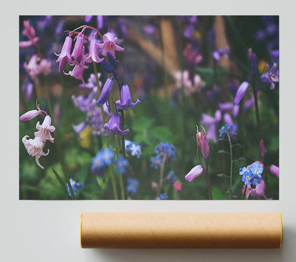 Purple And Pink Blooms Print