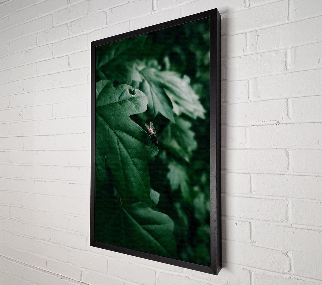  A Canvas Print of Emerald Fly'S Rest Canvas Print