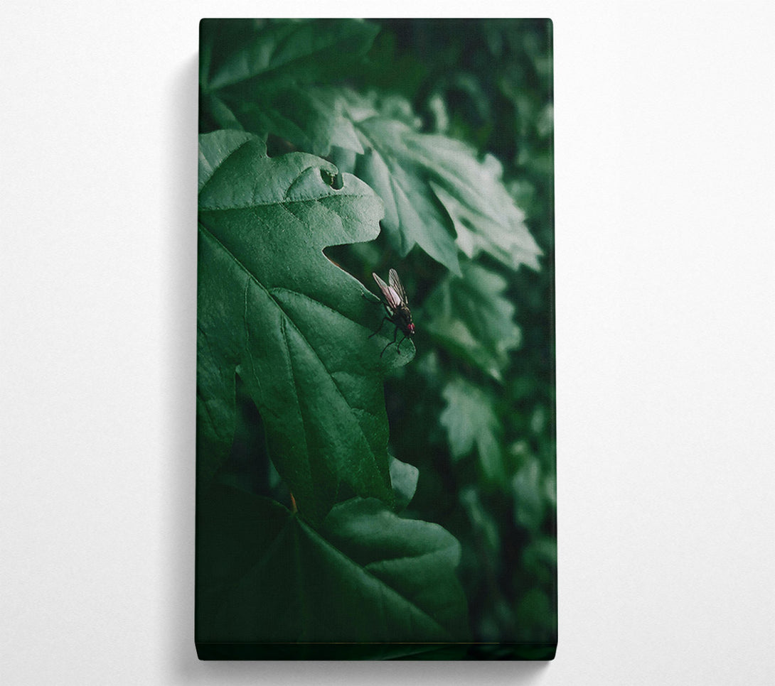  A Canvas Print of Emerald Fly'S Rest Canvas Print