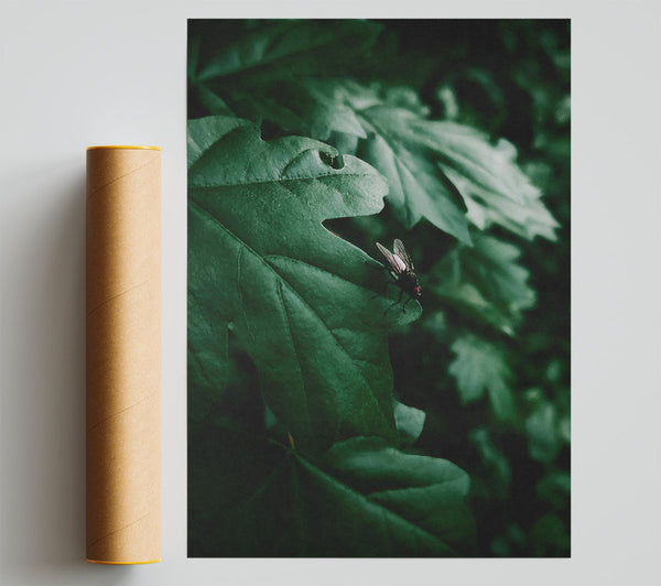 Emerald Fly'S Rest Poster