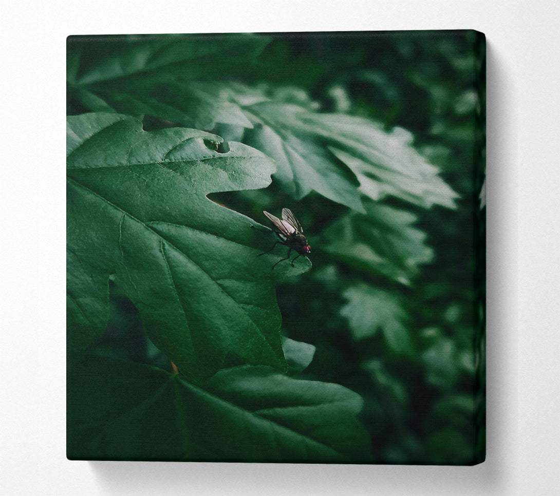  A Canvas Print of Emerald Fly'S Rest Canvas Print