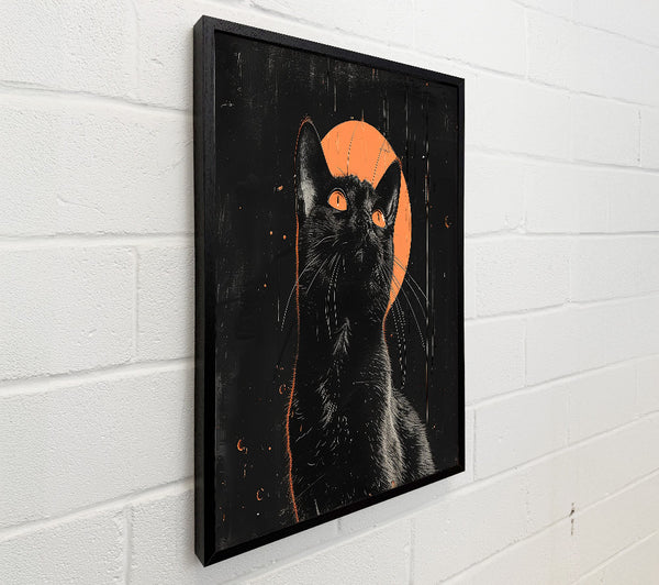 Black Moon Cat