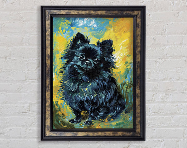 Walnut Pomeranian Framed Print
