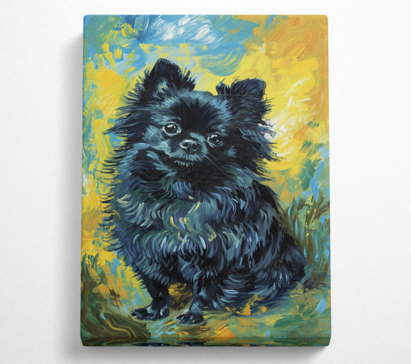  A Canvas Print of Black Pomeranian Canvas Wall Art