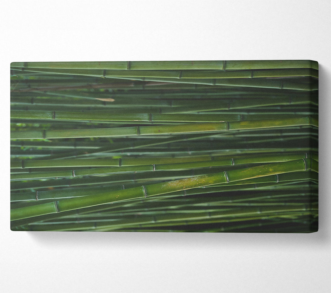  A Canvas Print of Emerald Bamboo Forest Canvas Wall Art